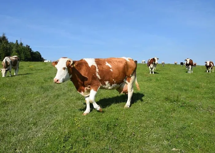 Wakacyjny Sloszow 3 Holiday home