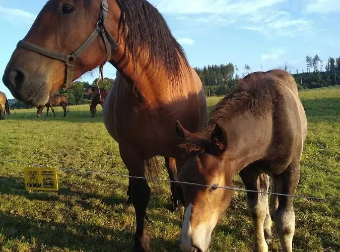 Holiday home Wakacyjny Sloszow 3